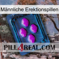 Männliche Erektionspillen 04